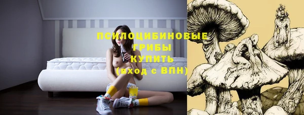 ECSTASY Нягань