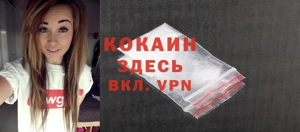 прущая мука Няндома