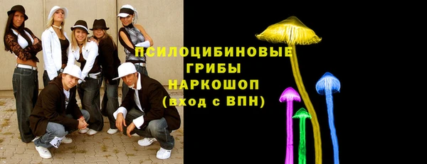 прущая мука Няндома