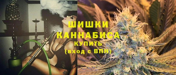 гашик Долгопрудный