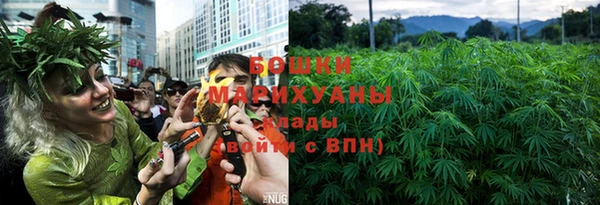 spice Нязепетровск