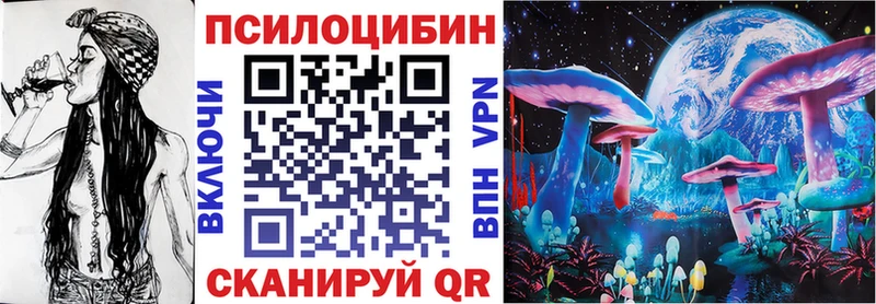 Псилоцибиновые грибы Cubensis  Сычёвка 